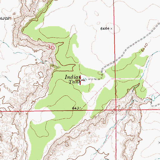 Topographic Map of Indian Tank, NM