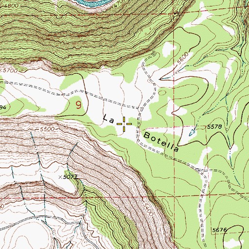 Topographic Map of La Botella, NM