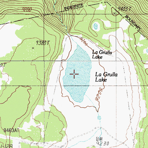 Topographic Map of La Grulla Lake, NM