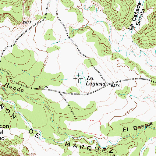 Topographic Map of La Laguna, NM