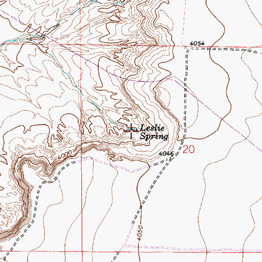 Topographic Map of Leslie Spring, NM