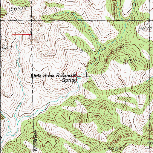 Topographic Map of Little Bunk Robinson Spring, NM