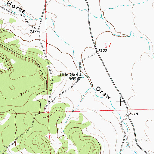 Topographic Map of Little Oak Well, NM