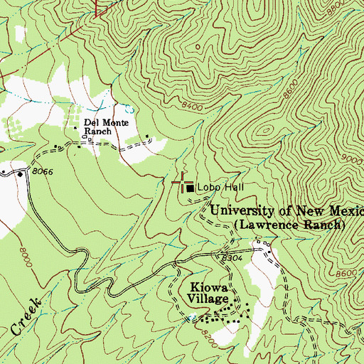 Topographic Map of Lobo Hall, NM