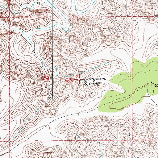 Topographic Map of Longview Spring, NM