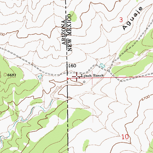 Topographic Map of Lynch Ranch, NM