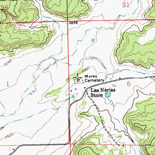 Topographic Map of Mares Cemetery, NM