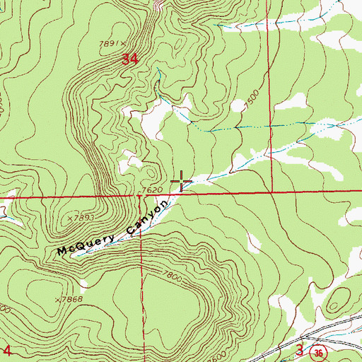Topographic Map of McQuery Canyon, NM