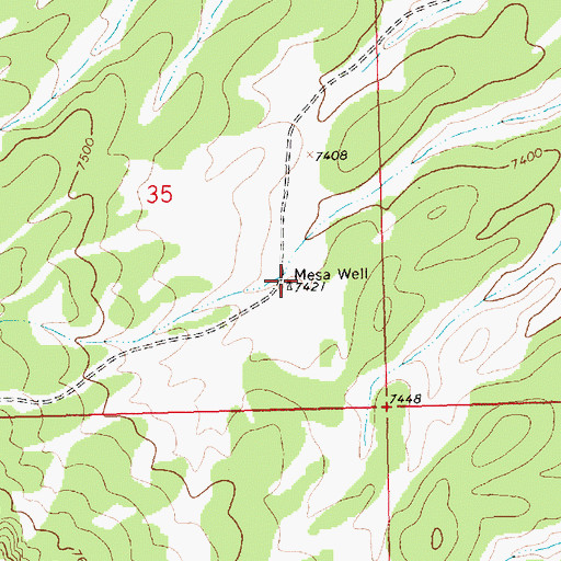 Topographic Map of Mesa Well, NM