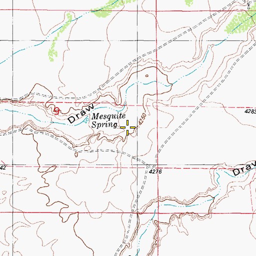 Topographic Map of Mesquite Spring, NM