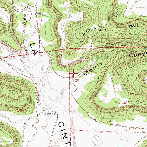 Topographic Map of Morris Canyon, NM