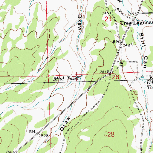 Topographic Map of Mud Tank, NM