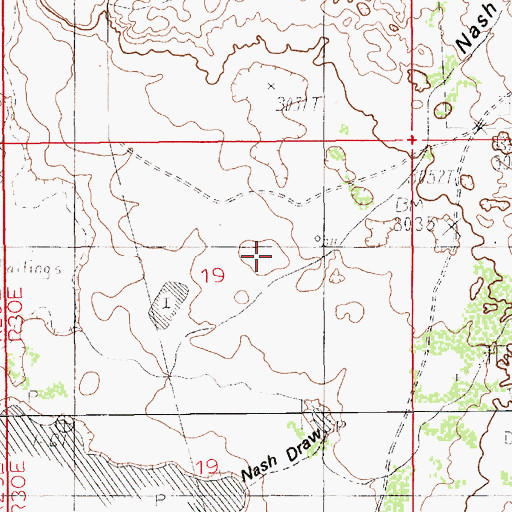 Topographic Map of Nash Draw, NM