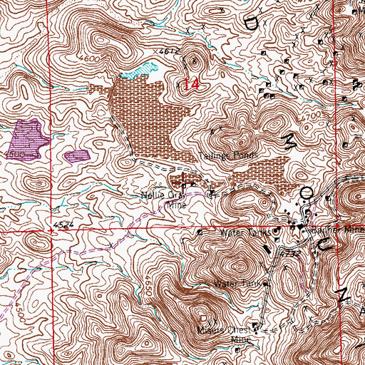 Topographic Map of Nellie Gray Mine, NM