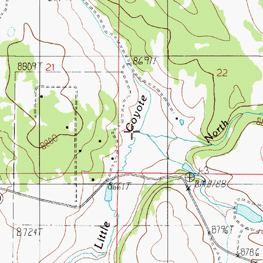Topographic Map of North Fork Little Coyote Creek, NM