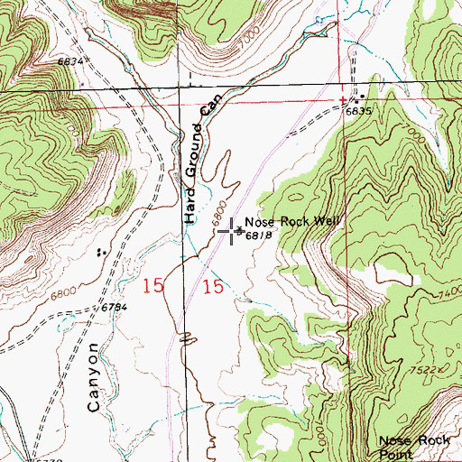 Topographic Map of Nose Rock Well, NM