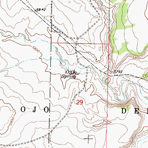 Topographic Map of Ojito Spring, NM