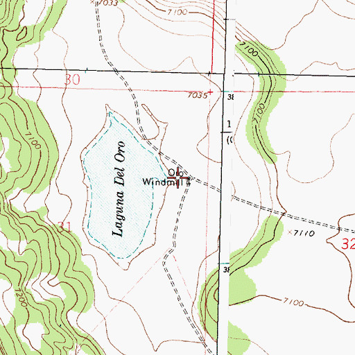 Topographic Map of Oro Windmill, NM