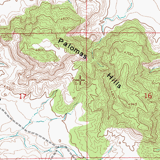 Topographic Map of Palomas Hills, NM