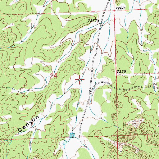 Topographic Map of Panther Canyon, NM