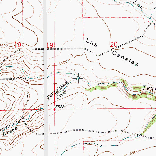 Topographic Map of Pat Le Doux Creek, NM