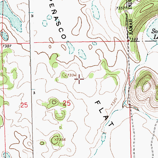 Topographic Map of Peasco Flat, NM