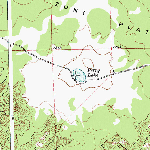 Topographic Map of Perry Lake, NM