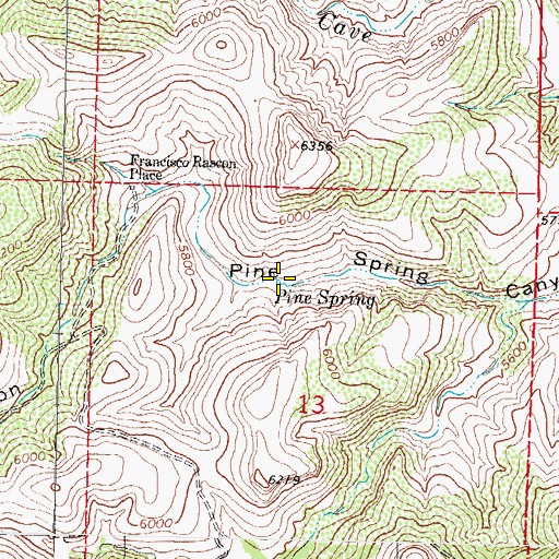 Topographic Map of Pine Spring, NM