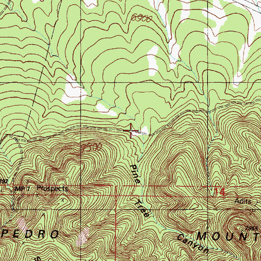 Topographic Map of Pine Tree Canyon, NM