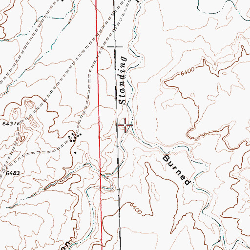 Topographic Map of Pinetree Canyon, NM