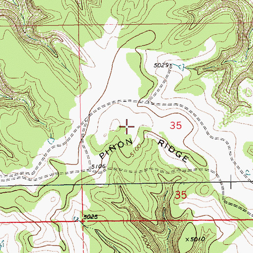 Topographic Map of Pion Ridge, NM