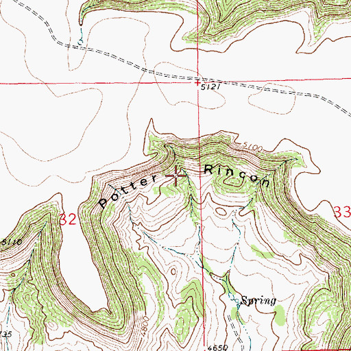 Topographic Map of Potter Rincon, NM