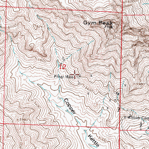 Topographic Map of Priser Mine, NM