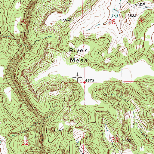 Topographic Map of River Mesa, NM