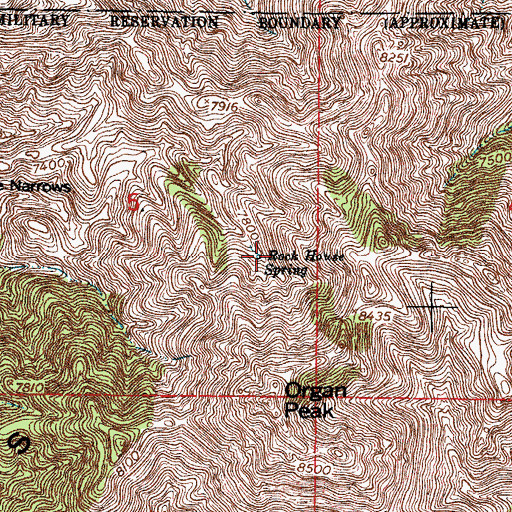 Topographic Map of Rock House Spring, NM