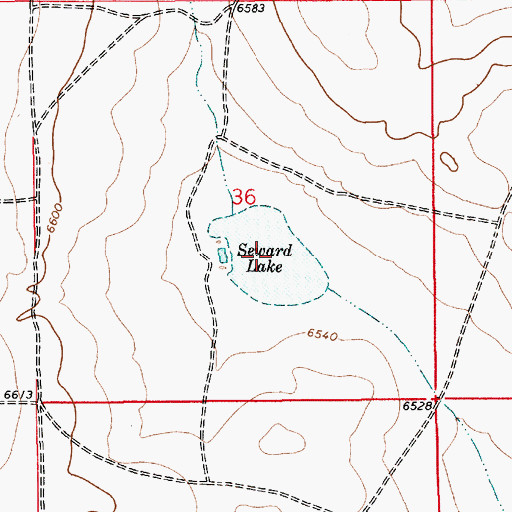 Topographic Map of Seward Lake, NM
