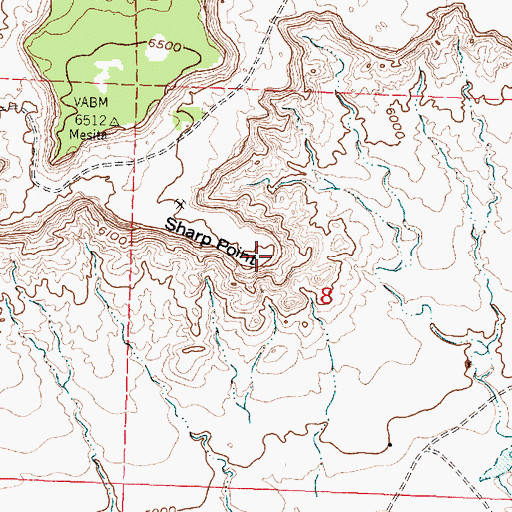 Topographic Map of Sharp Point, NM