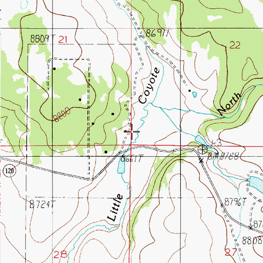 Topographic Map of South Fork Little Coyote Creek, NM