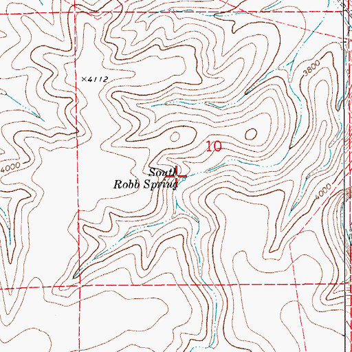 Topographic Map of South Robb Spring, NM