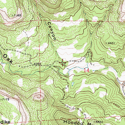 Topographic Map of Starr Canyon, NM