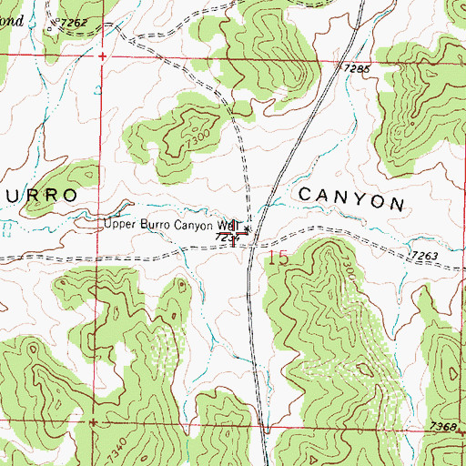 Topographic Map of Upper Burro Canyon Well, NM