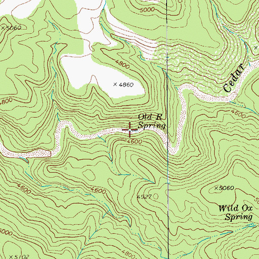 Topographic Map of Old R Spring, AZ