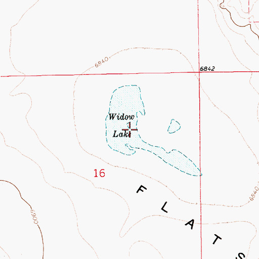 Topographic Map of Widow Lake, NM