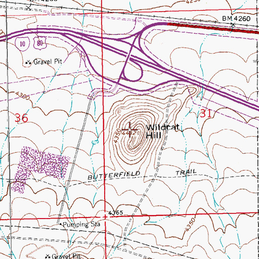 Topographic Map of Wildcat Hill, NM