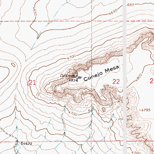 Topographic Map of Conejo Mesa, NM
