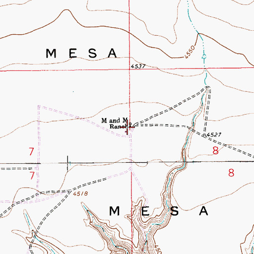 Topographic Map of M and M Ranch, NM