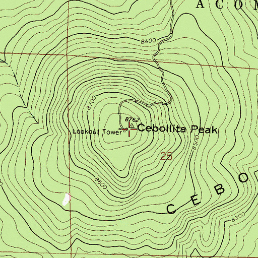 Topographic Map of Cebollita Mesa, NM