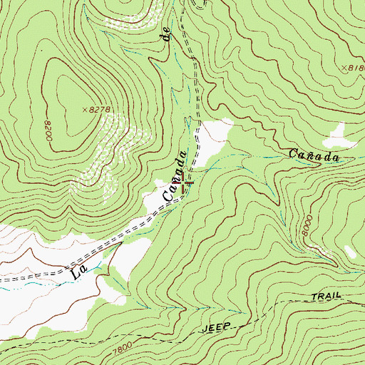 Topographic Map of Caada de la Cueva, NM