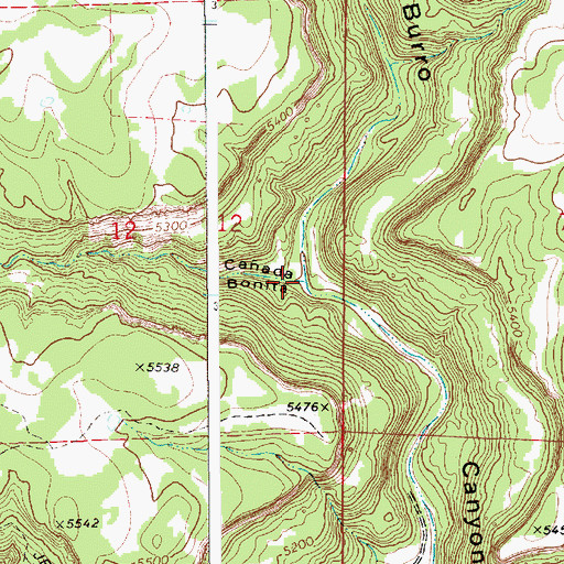 Topographic Map of Caada Bonita, NM