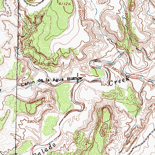 Topographic Map of Caon de la Agua Blanca, NM